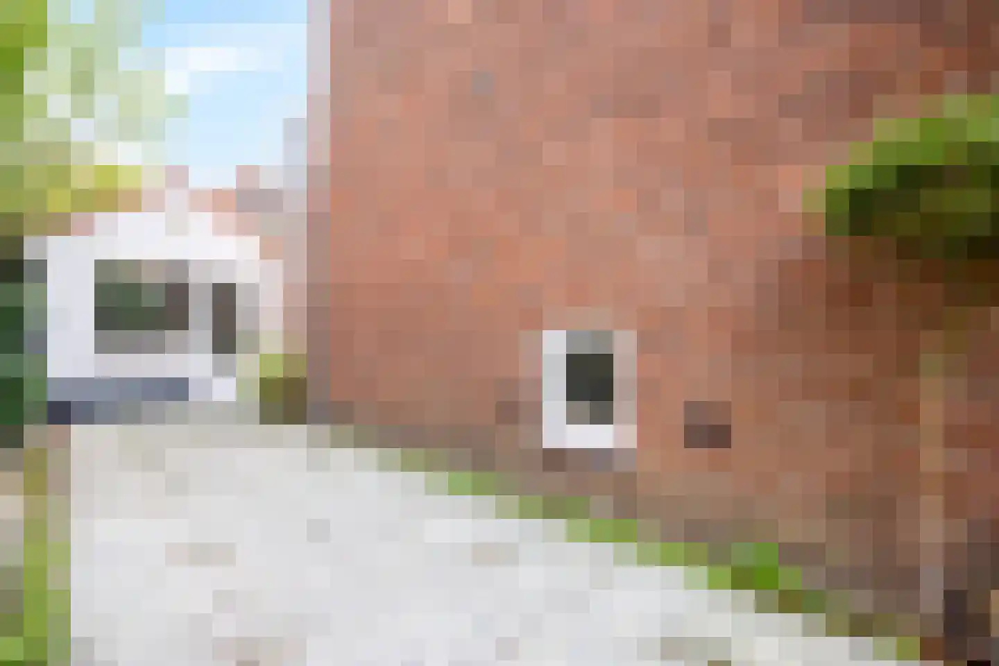 Thorbeckestraat 39 Delft thumbnail 38