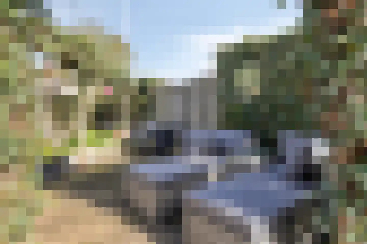 Thorbeckestraat 39 Zaltbommel thumbnail 26