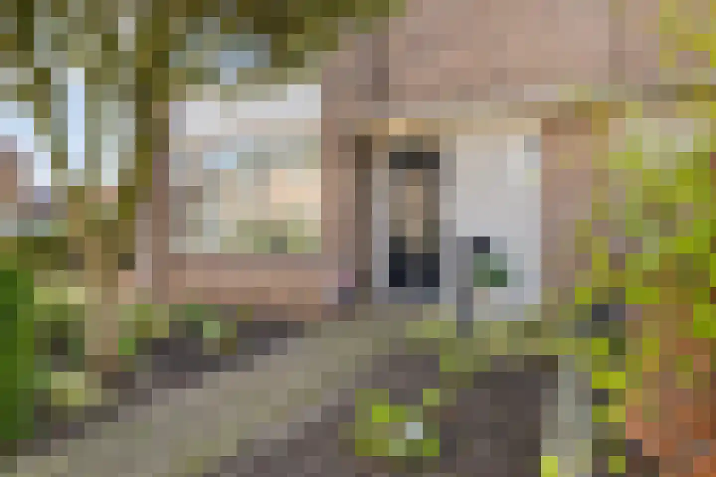 Thorbeckestraat 39 Zaltbommel thumbnail 5