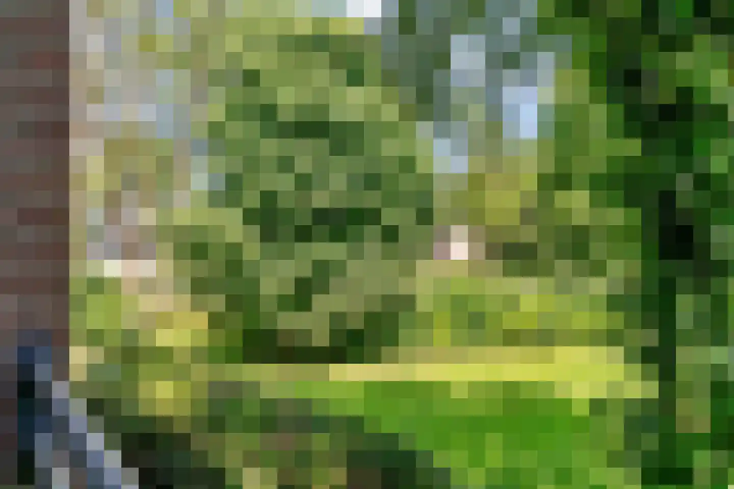 Thorbeckestraat 394 Wageningen thumbnail 20
