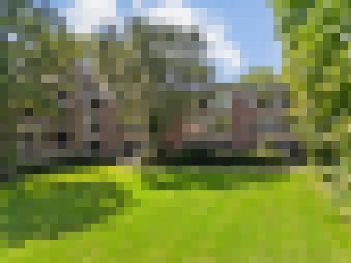 Thorbeckestraat 394 Wageningen thumbnail 21
