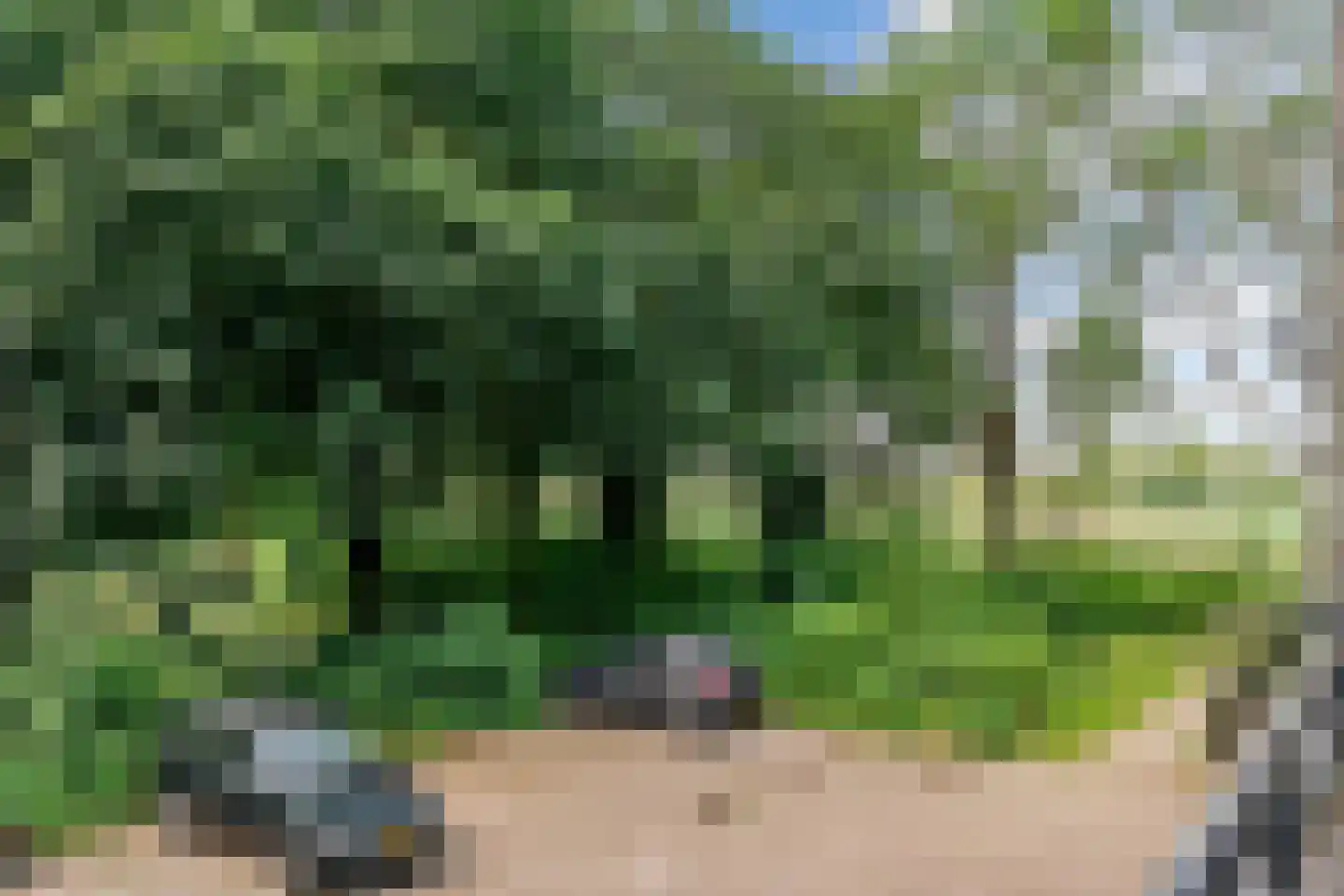 Thorbeckestraat 394 Wageningen thumbnail 24