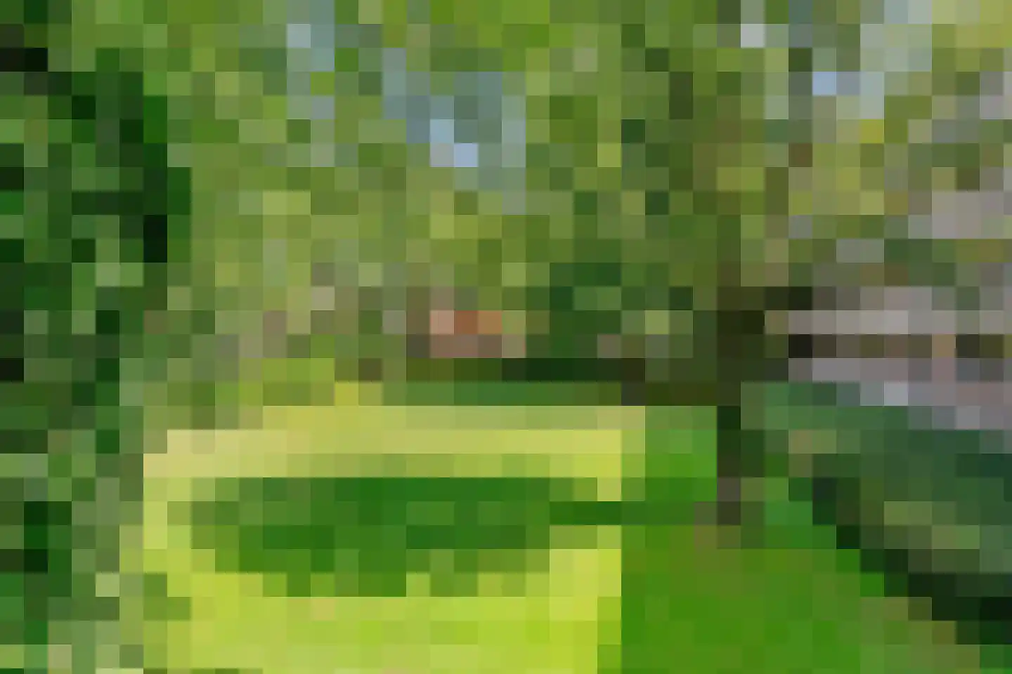 Thorbeckestraat 394 Wageningen thumbnail 4