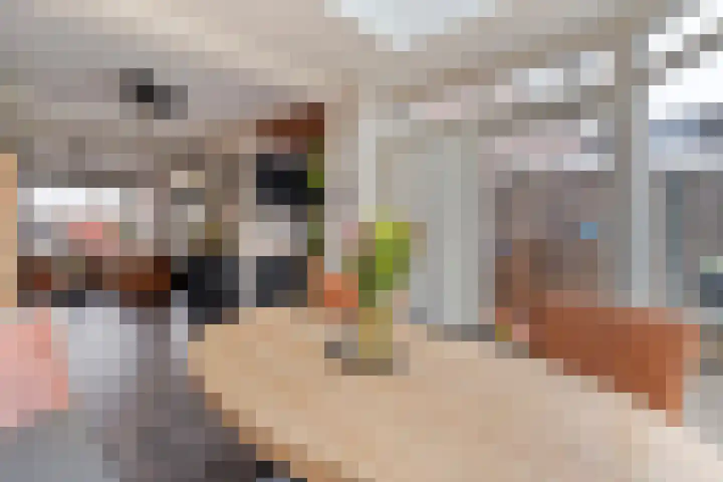 Thorbeckestraat 4 Bergentheim thumbnail 24