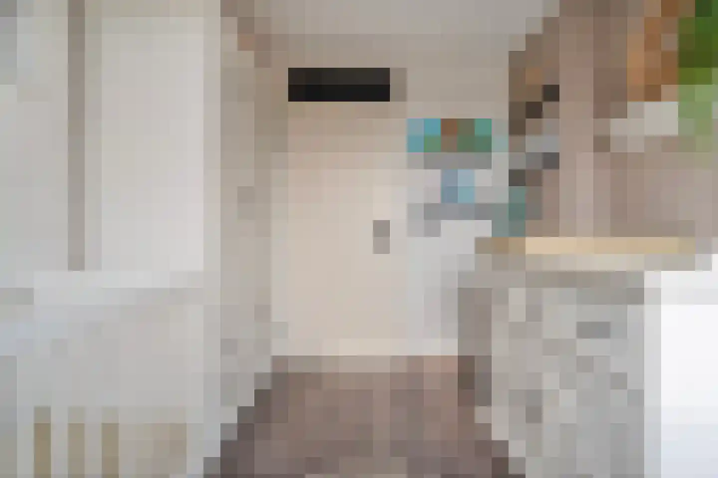 Thorbeckestraat 4 Bergentheim thumbnail 31
