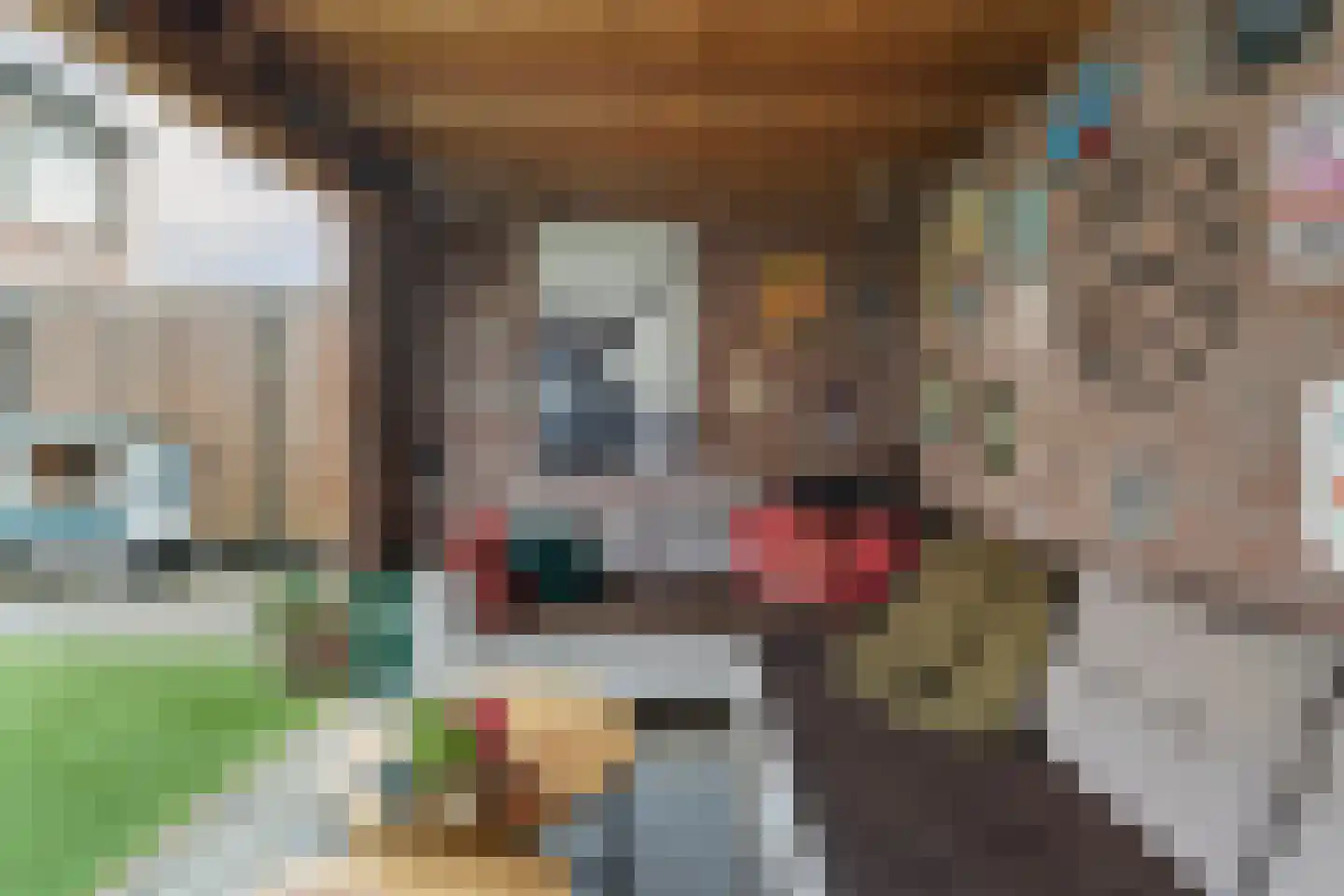 Thorbeckestraat 4 Bergentheim thumbnail 46