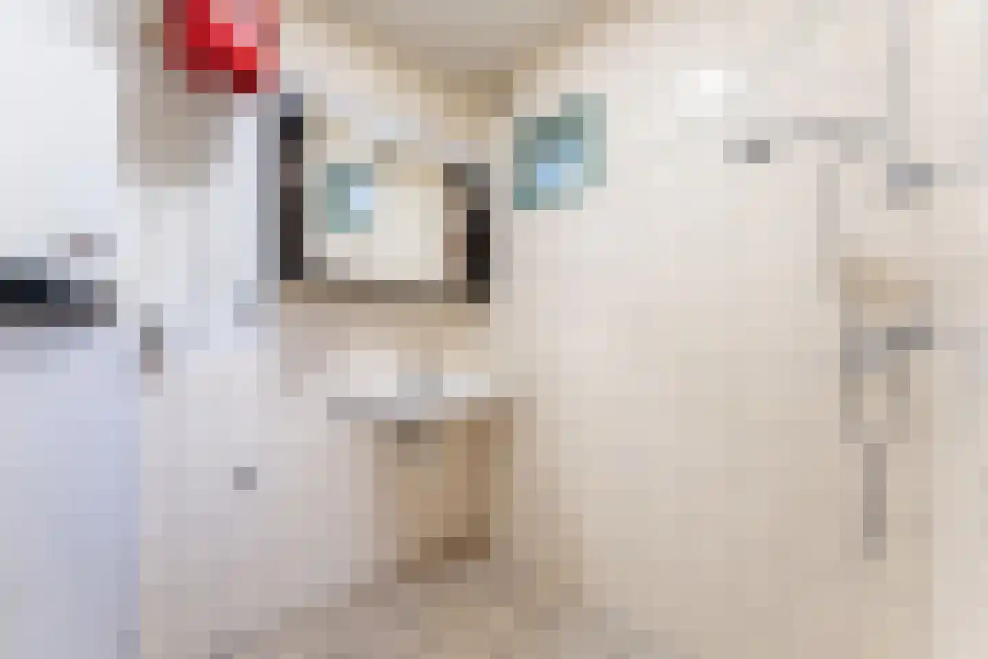 Thorbeckestraat 4 Eibergen thumbnail 10