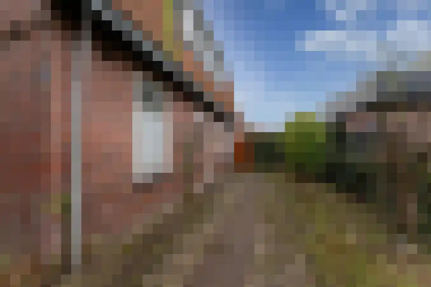 Thorbeckestraat 4 Eibergen thumbnail 21