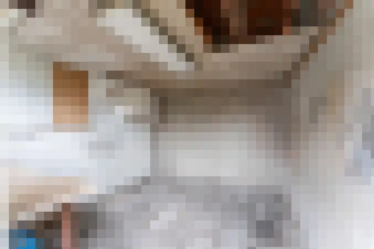 Thorbeckestraat 4 Eibergen thumbnail 24