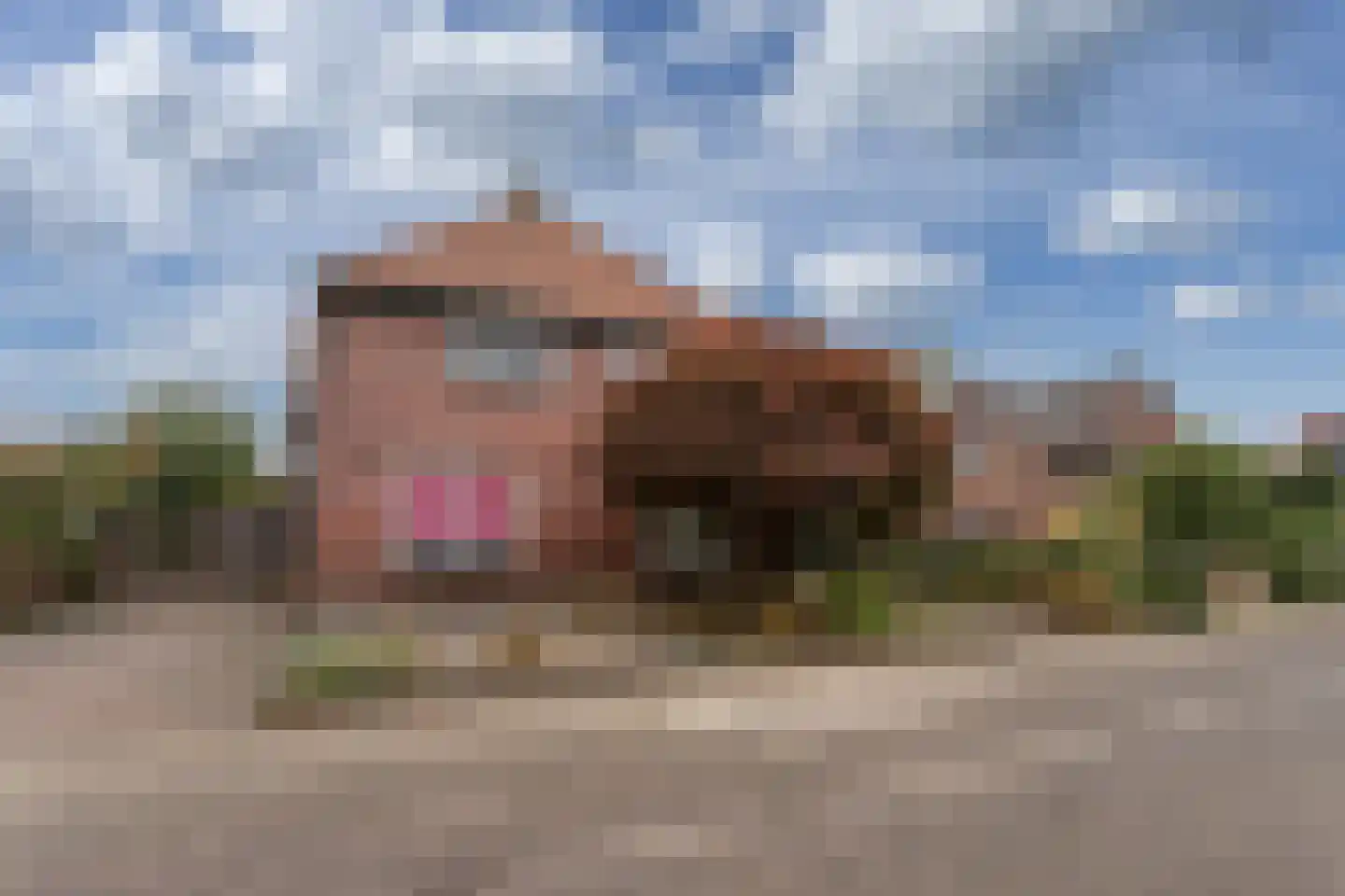 Thorbeckestraat 4 Eibergen thumbnail 25