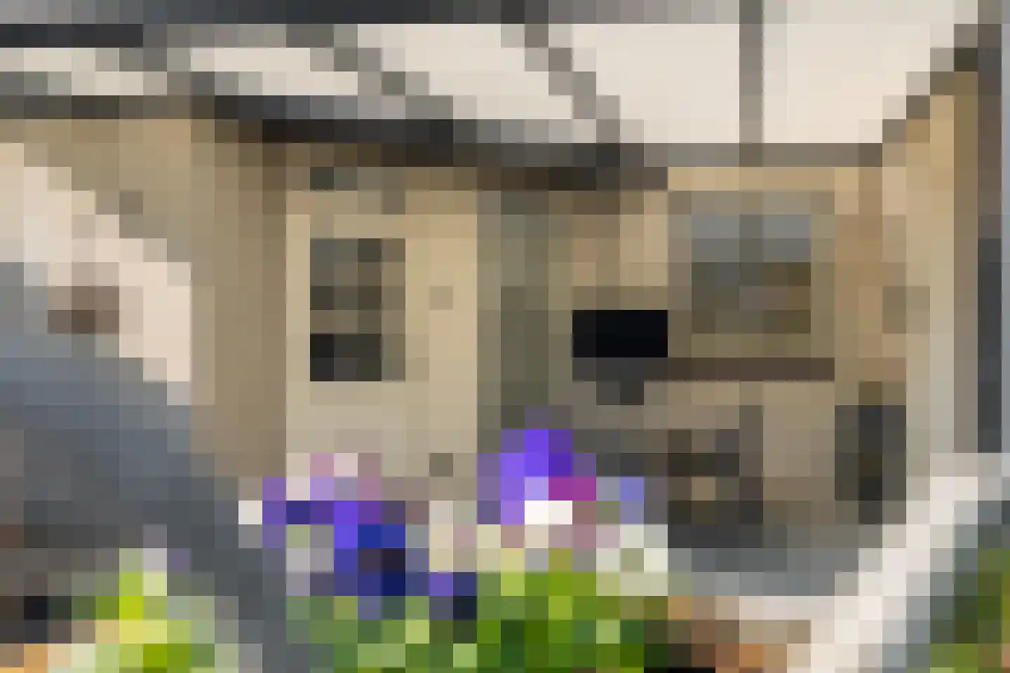 Thorbeckestraat 4 Epe thumbnail 23