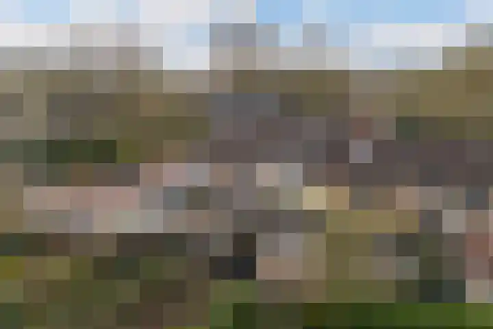 Thorbeckestraat 4 Epe thumbnail 23