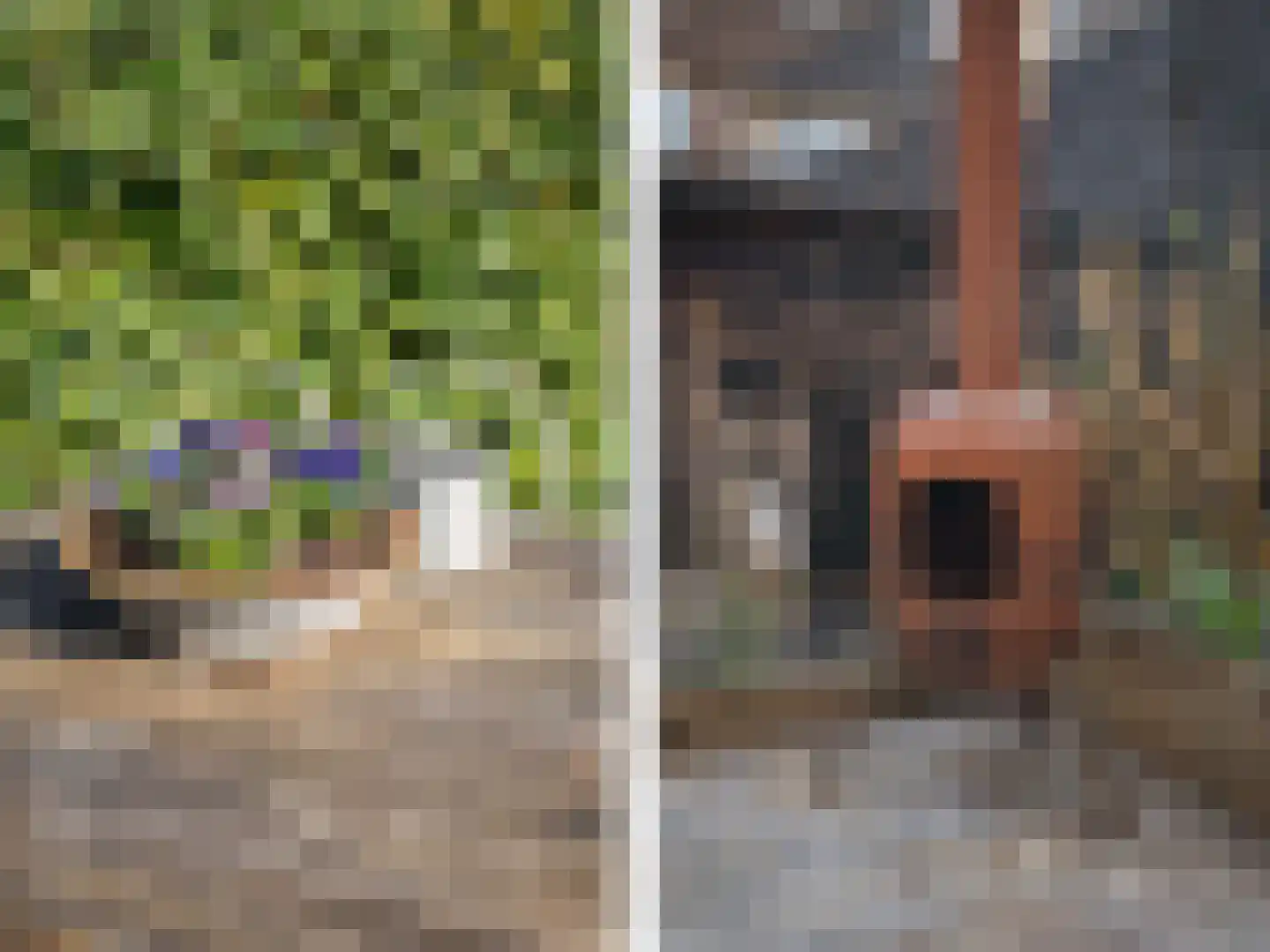 Thorbeckestraat 4 Epe thumbnail 25