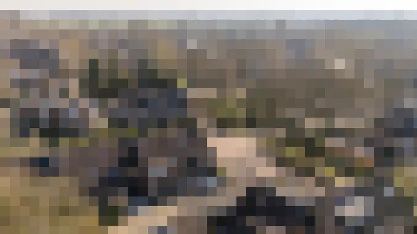 Thorbeckestraat 4 Epe thumbnail 27