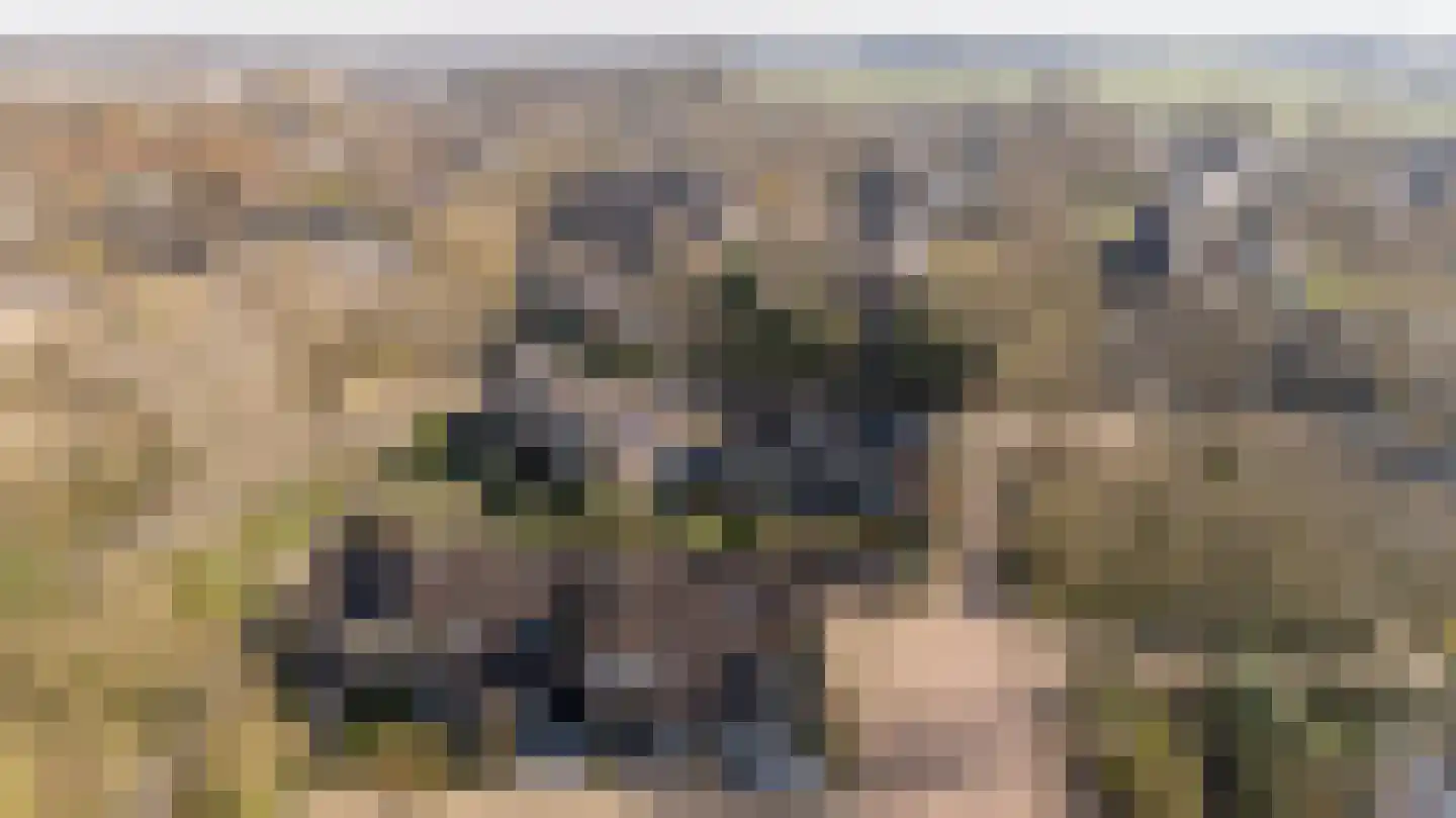 Thorbeckestraat 4 Epe thumbnail 28