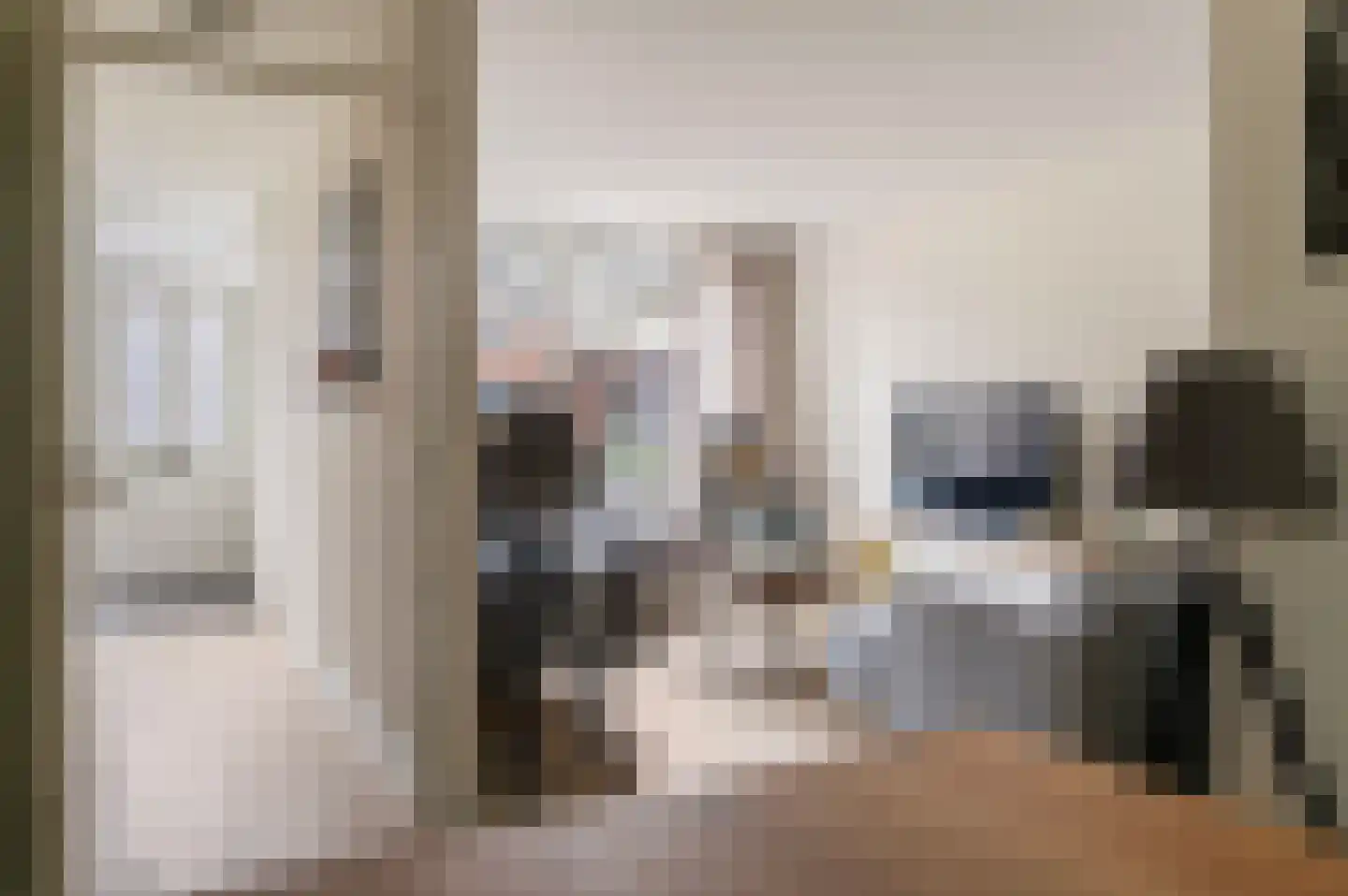 Thorbeckestraat 4 Epe thumbnail 5