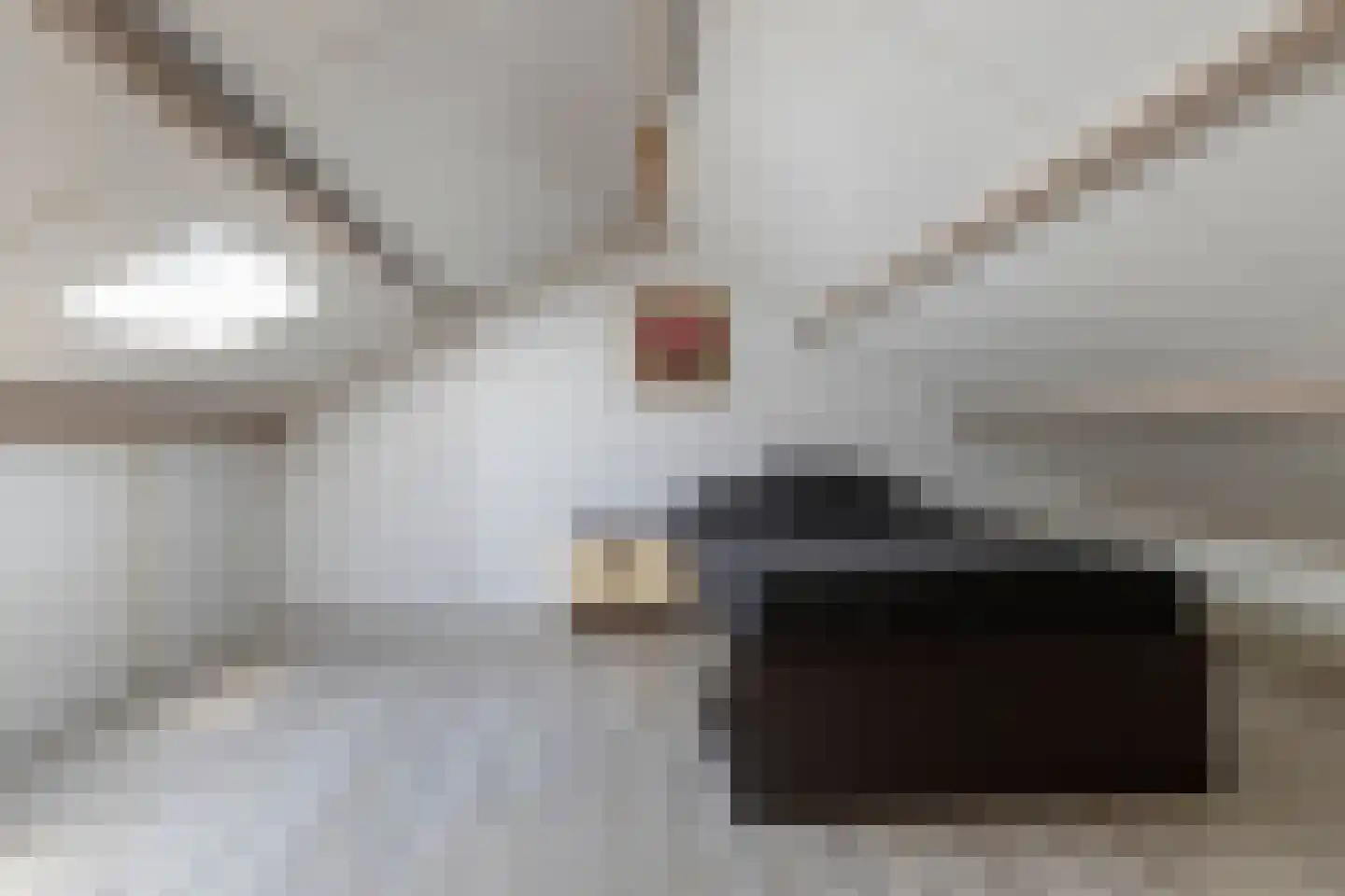 Thorbeckestraat 4 Groenlo thumbnail 27