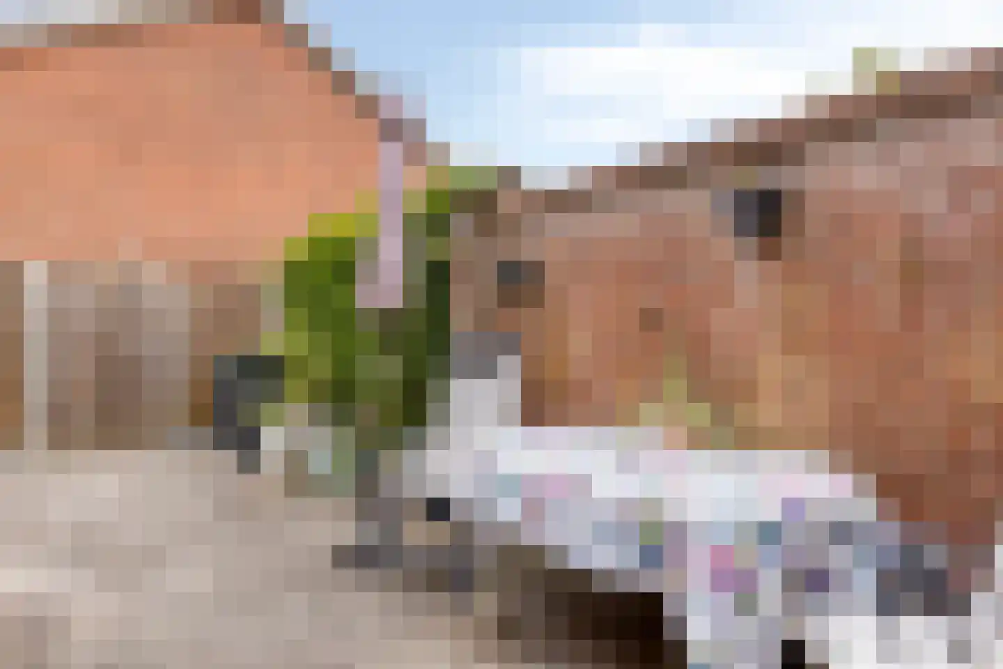 Thorbeckestraat 4 Groenlo thumbnail 30
