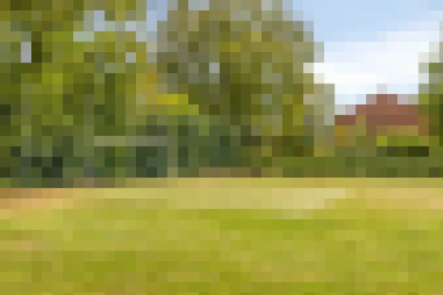 Thorbeckestraat 4 Groenlo thumbnail 35