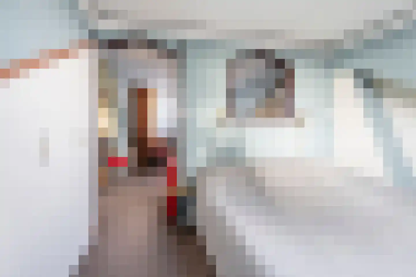 Thorbeckestraat 40 Zandvoort thumbnail 10