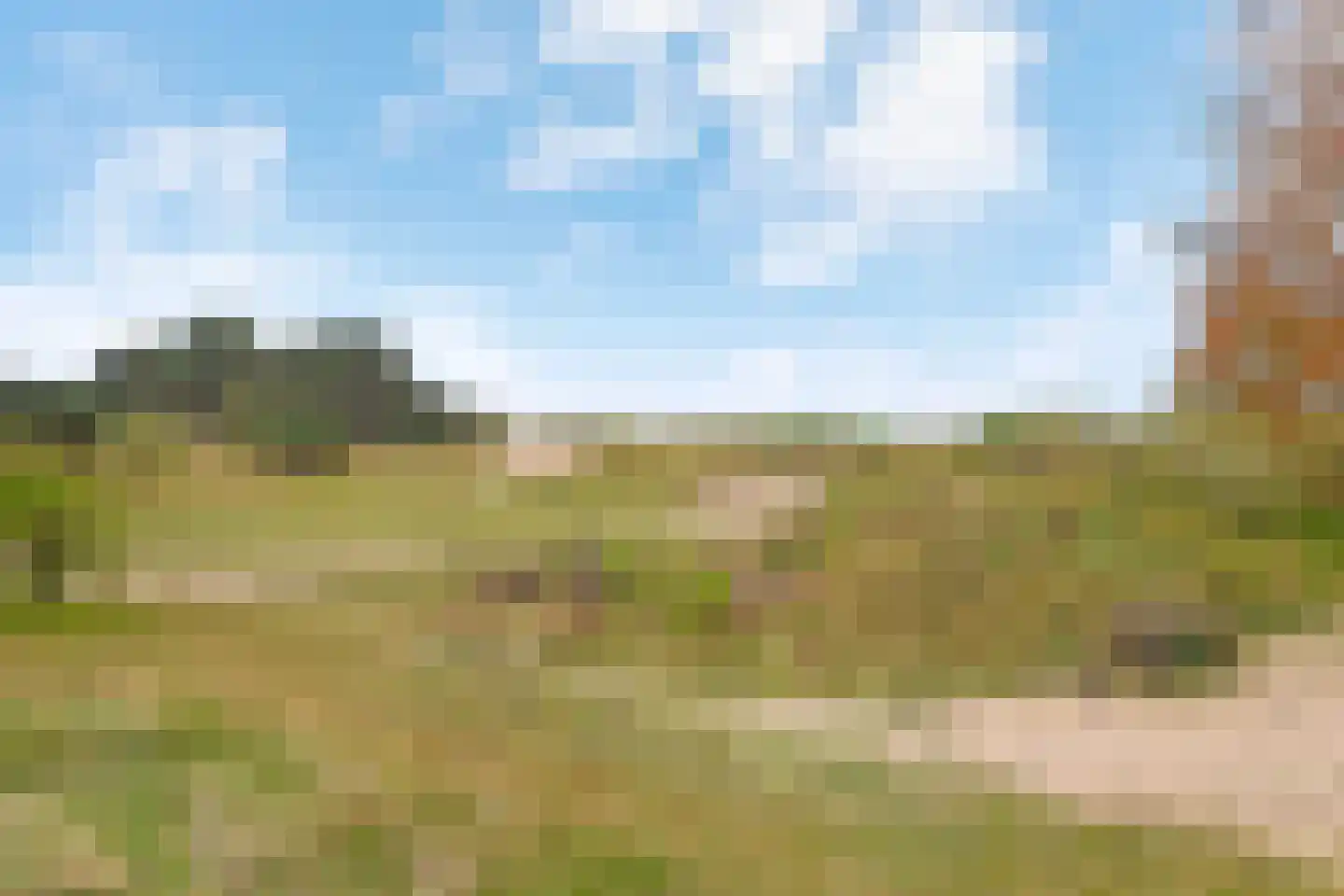 Thorbeckestraat 40 Zandvoort thumbnail 42