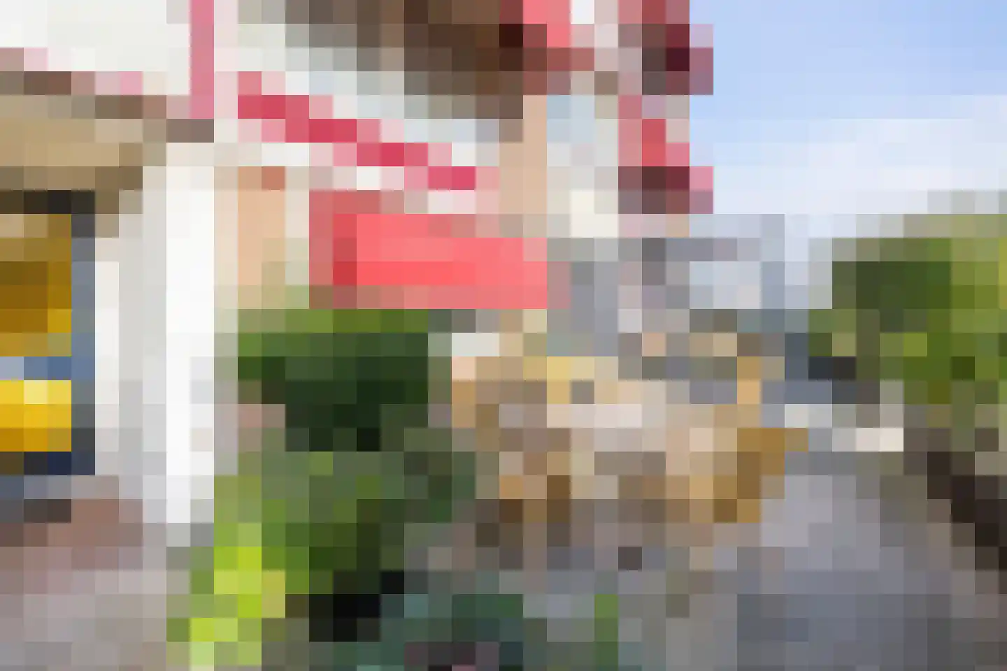 Thorbeckestraat 40 Zandvoort thumbnail 6