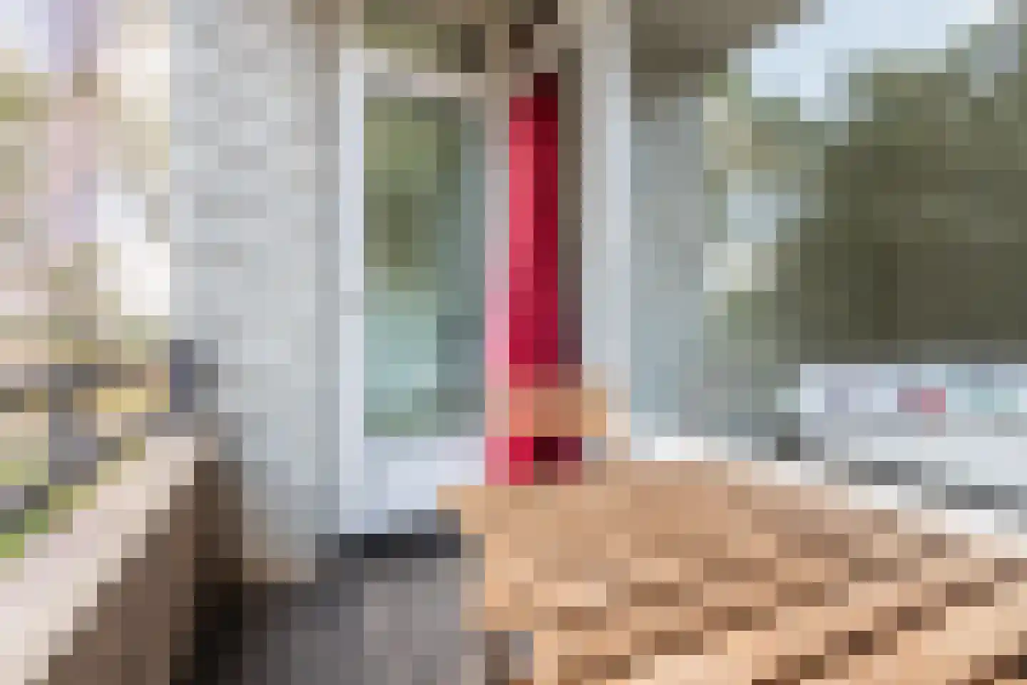 Thorbeckestraat 408 Wageningen thumbnail 26