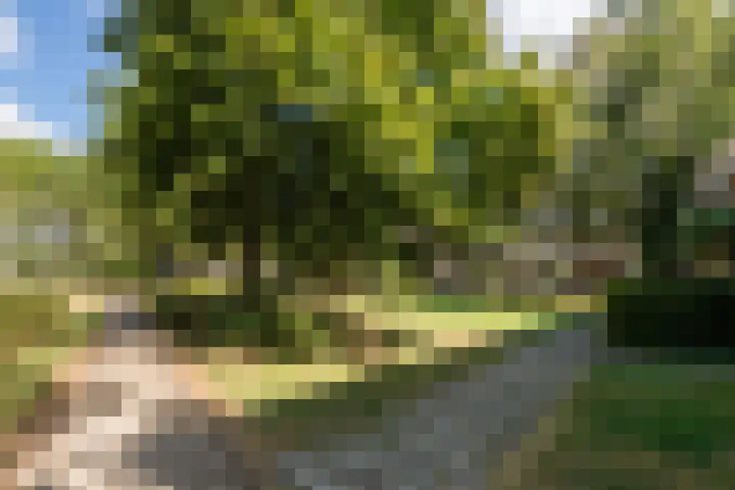Thorbeckestraat 408 Wageningen thumbnail 35