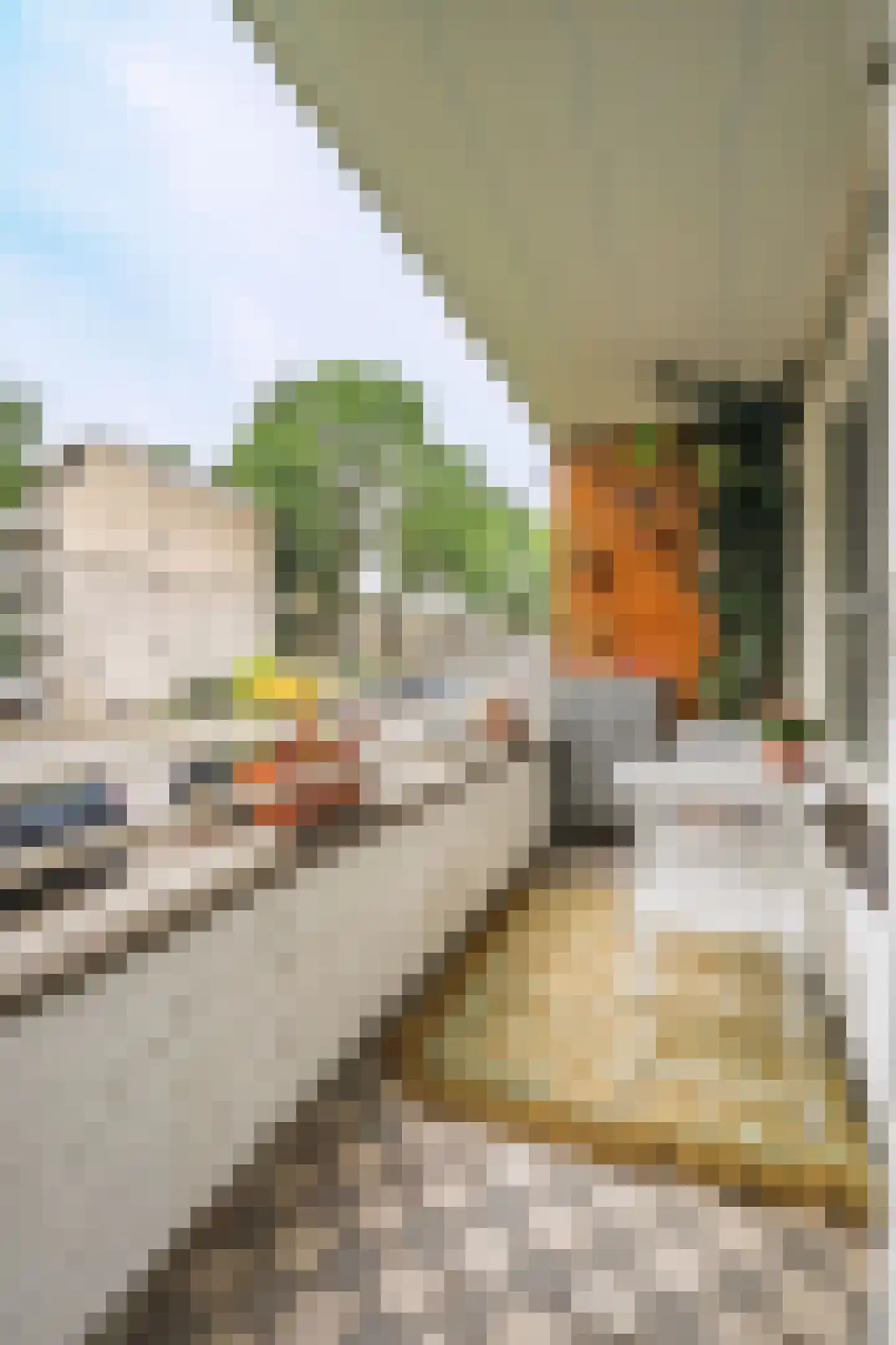 Thorbeckestraat 414 Wageningen thumbnail 26
