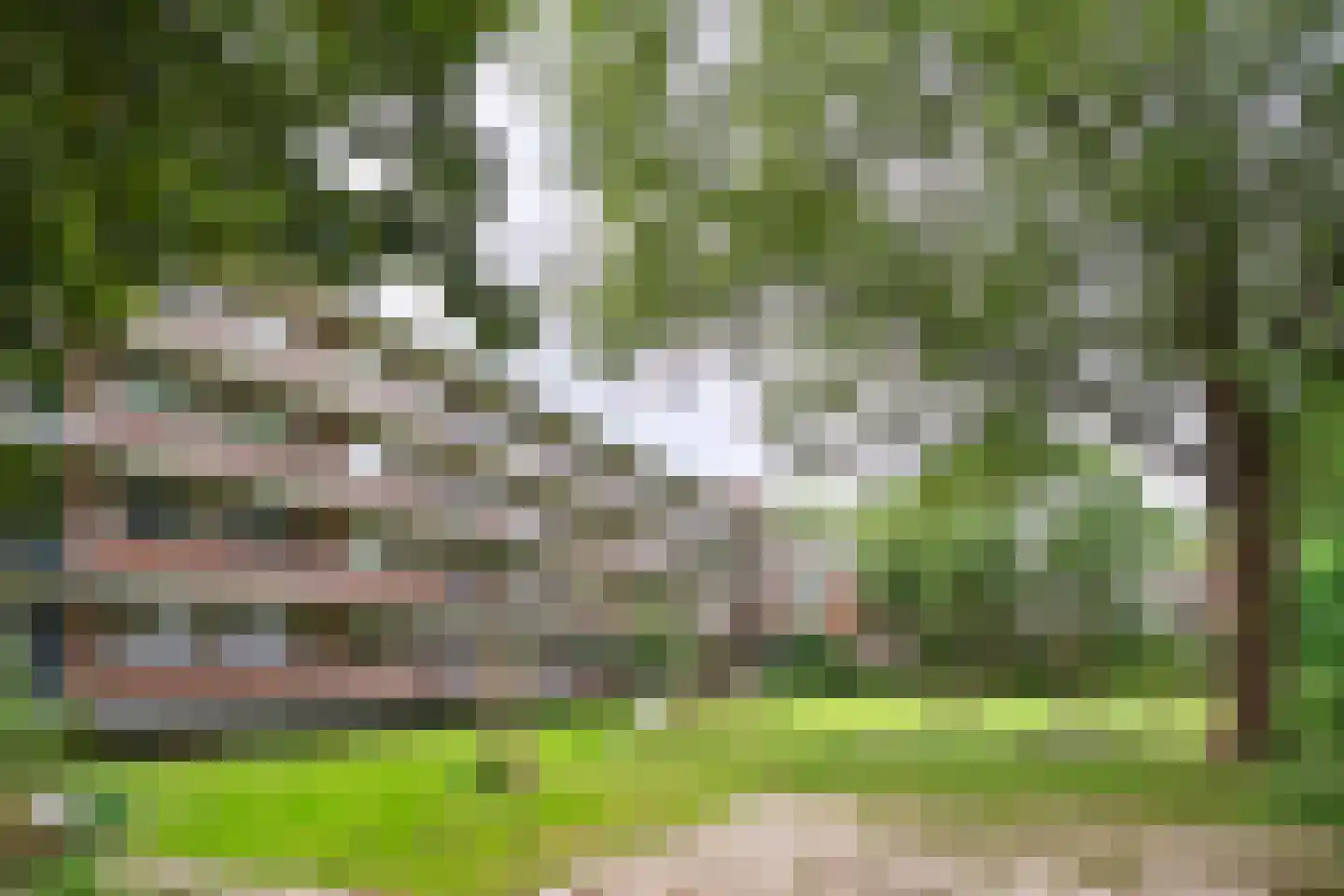 Thorbeckestraat 414 Wageningen thumbnail 27