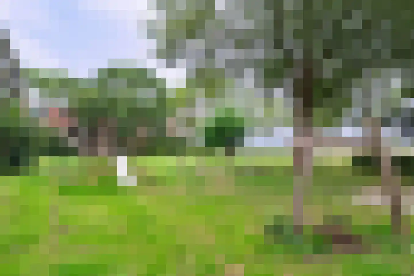Thorbeckestraat 414 Wageningen thumbnail 29