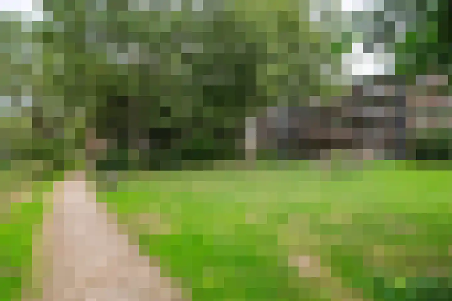 Thorbeckestraat 414 Wageningen thumbnail 30