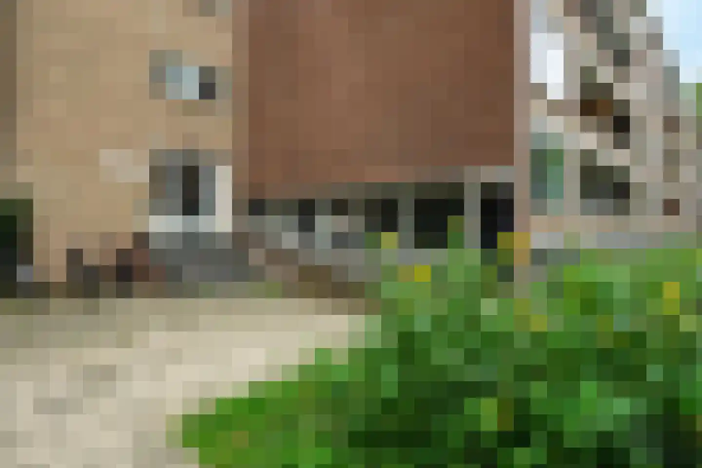 Thorbeckestraat 414 Wageningen thumbnail 6