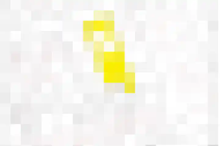 Thorbeckestraat 42 Apeldoorn thumbnail 32
