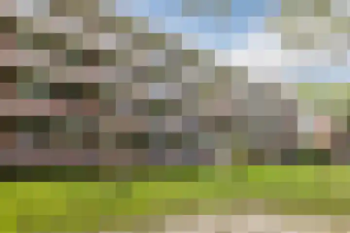Thorbeckestraat 428 Wageningen thumbnail 24