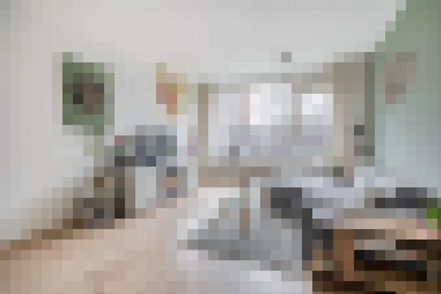 Thorbeckestraat 44 Wageningen thumbnail 14