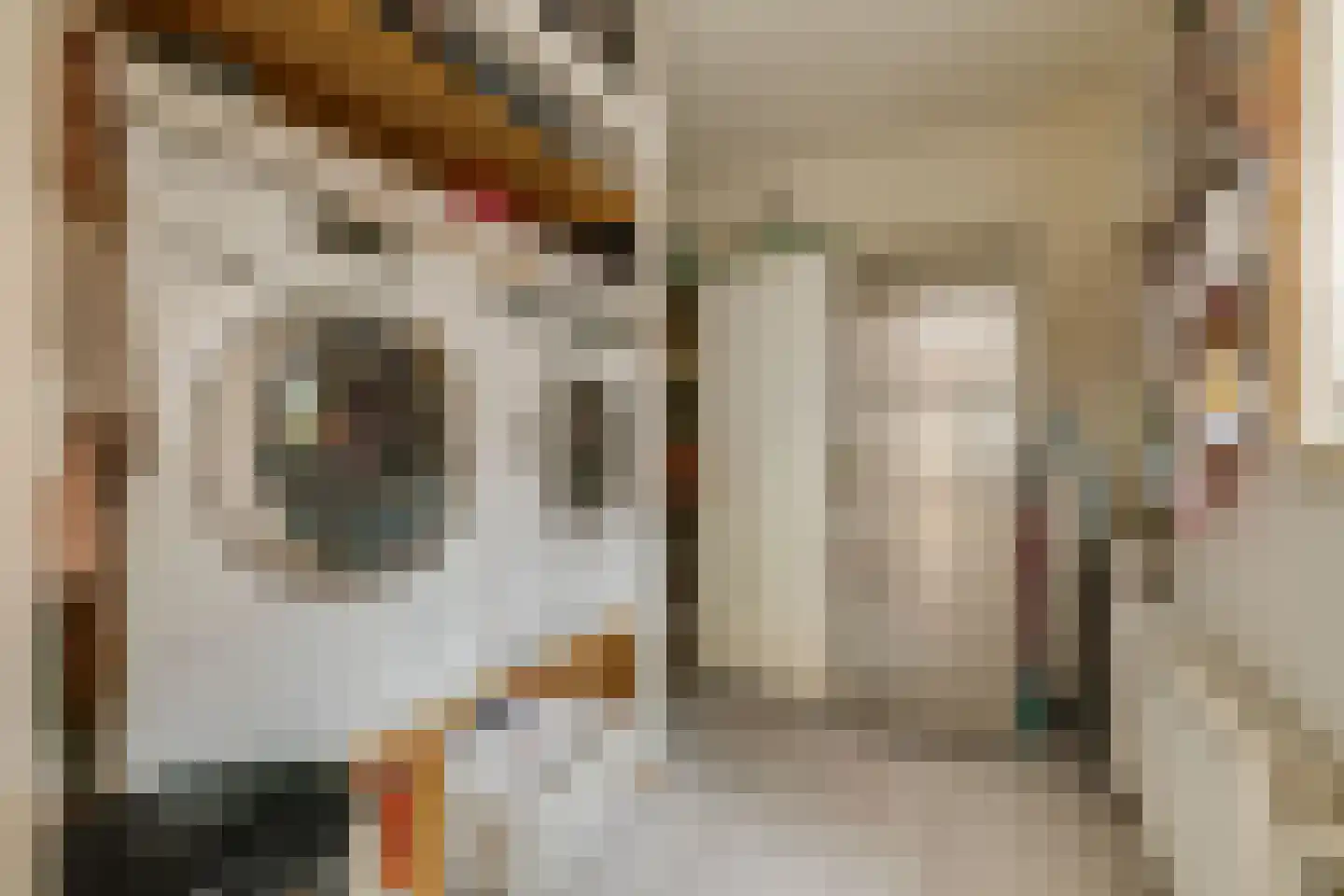 Thorbeckestraat 47 Apeldoorn thumbnail 15