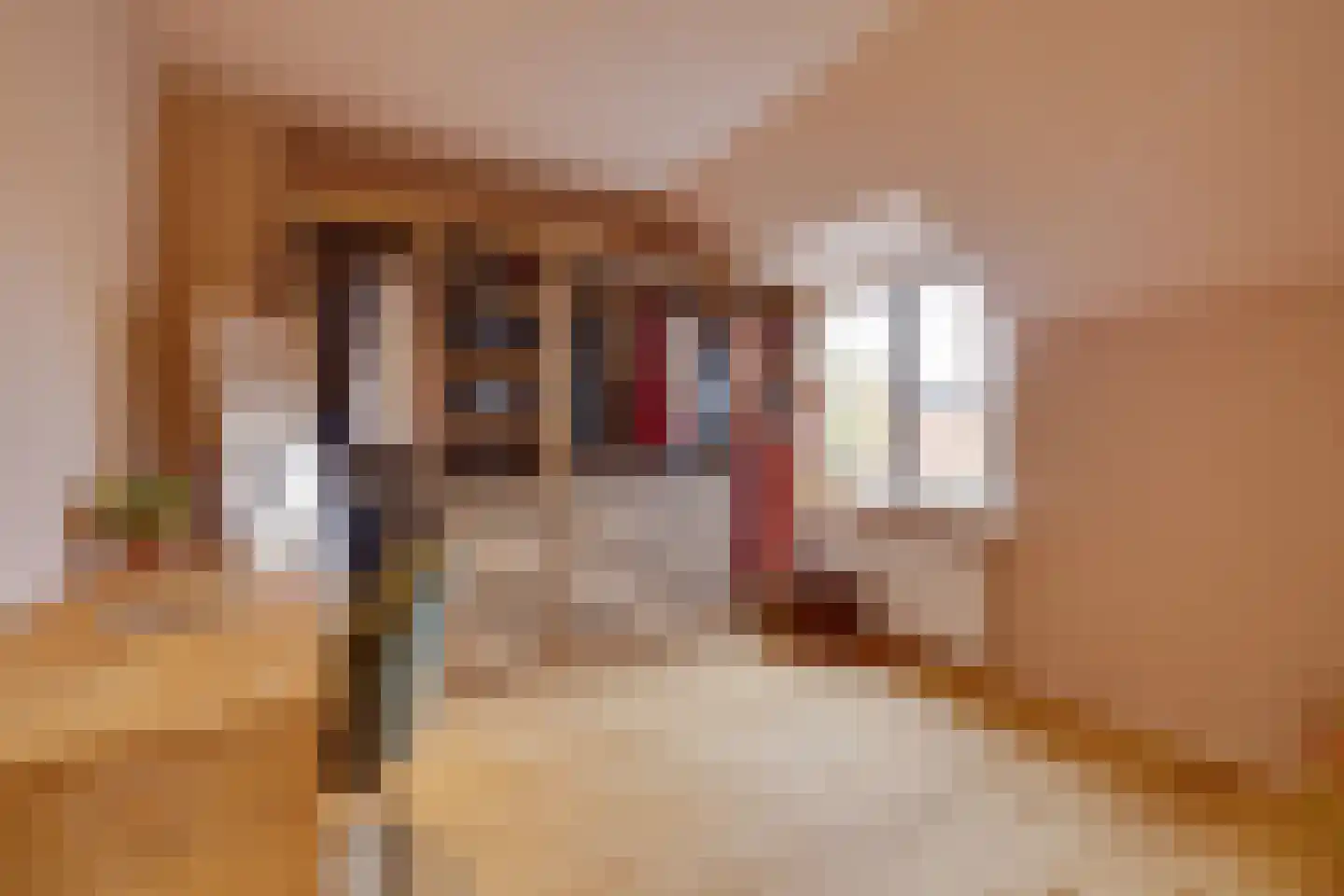 Thorbeckestraat 47 Apeldoorn thumbnail 21