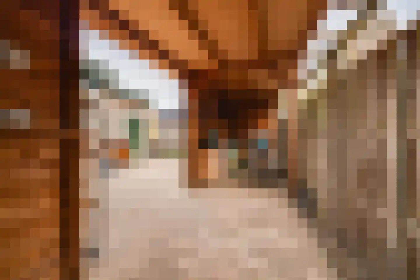 Thorbeckestraat 47 Apeldoorn thumbnail 31
