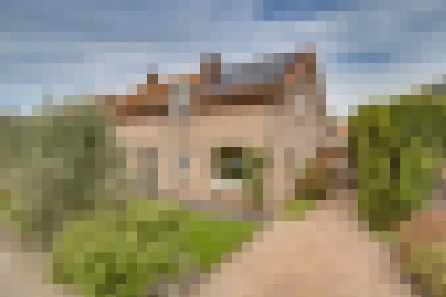 Thorbeckestraat 47 Apeldoorn thumbnail 35