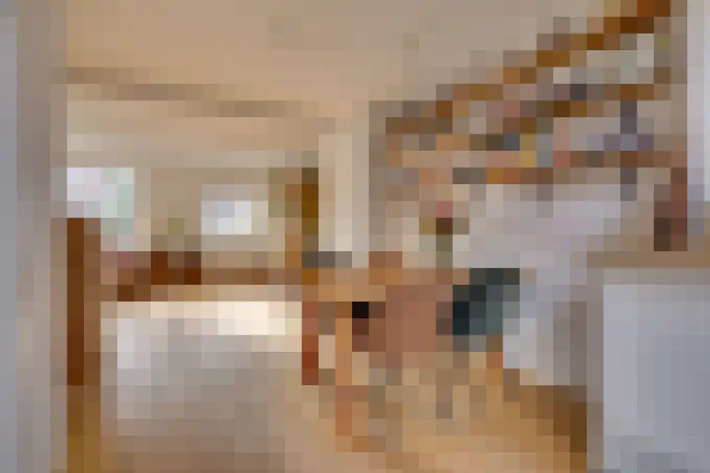 Thorbeckestraat 47 Apeldoorn thumbnail 9