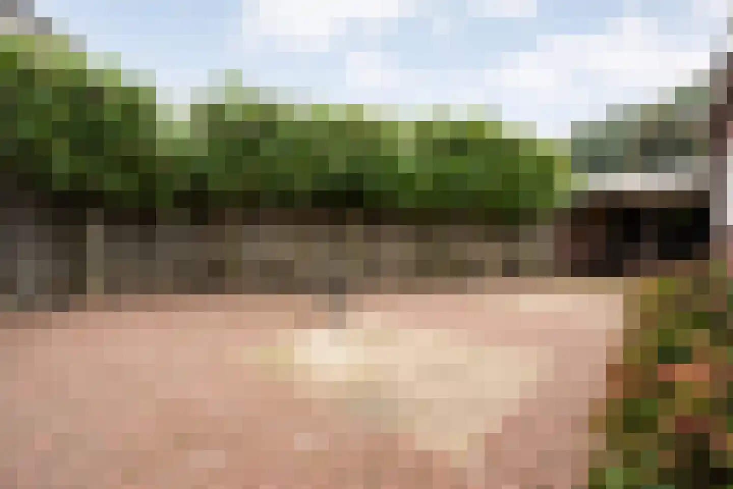 Thorbeckestraat 47 Oldenzaal thumbnail 22