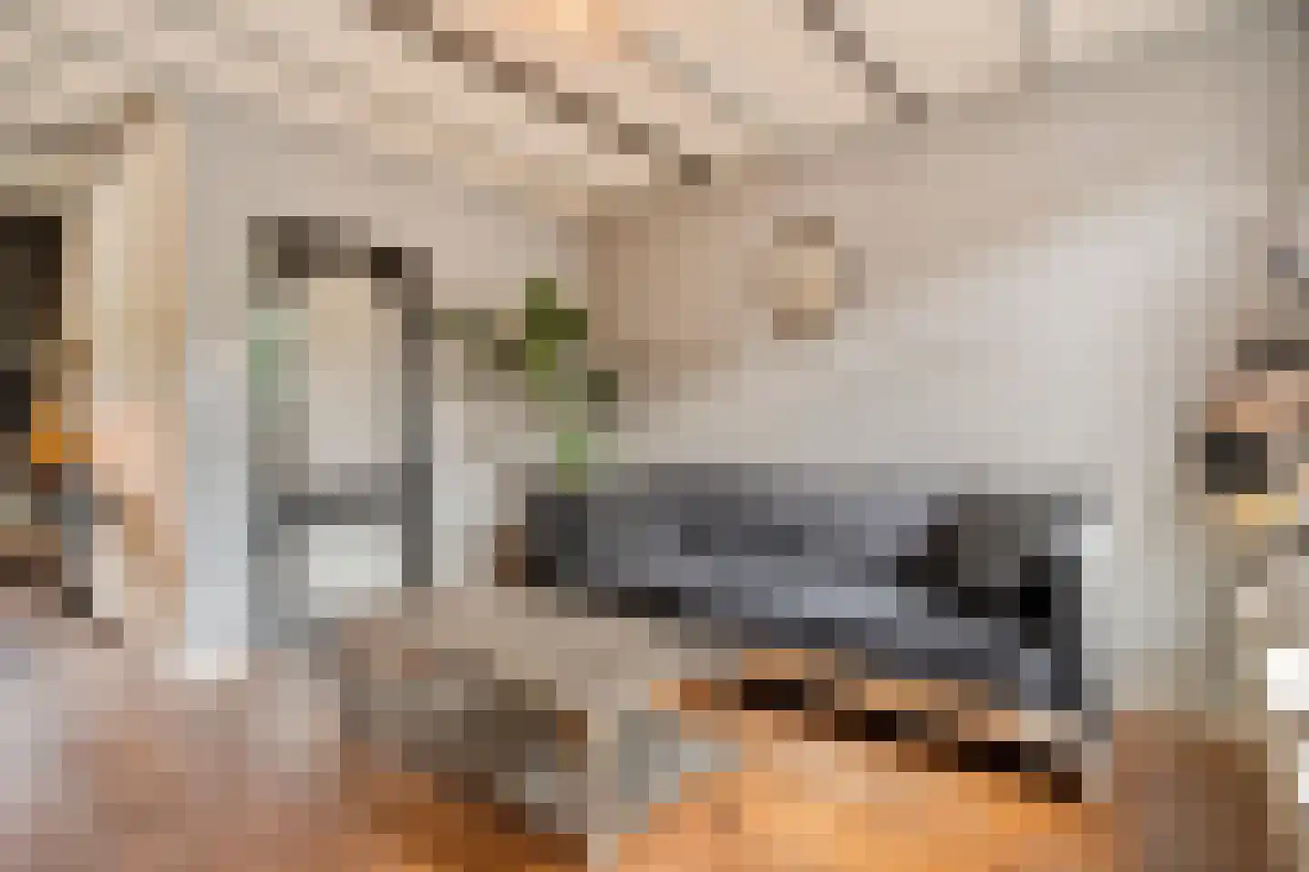 Thorbeckestraat 47 Oldenzaal thumbnail 6