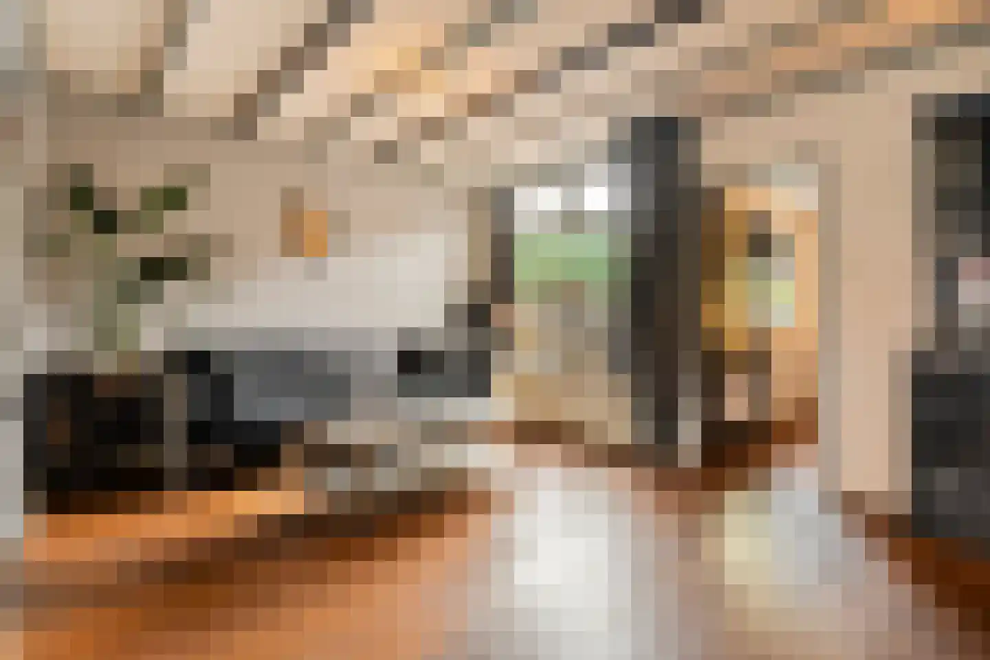 Thorbeckestraat 47 Oldenzaal thumbnail 7
