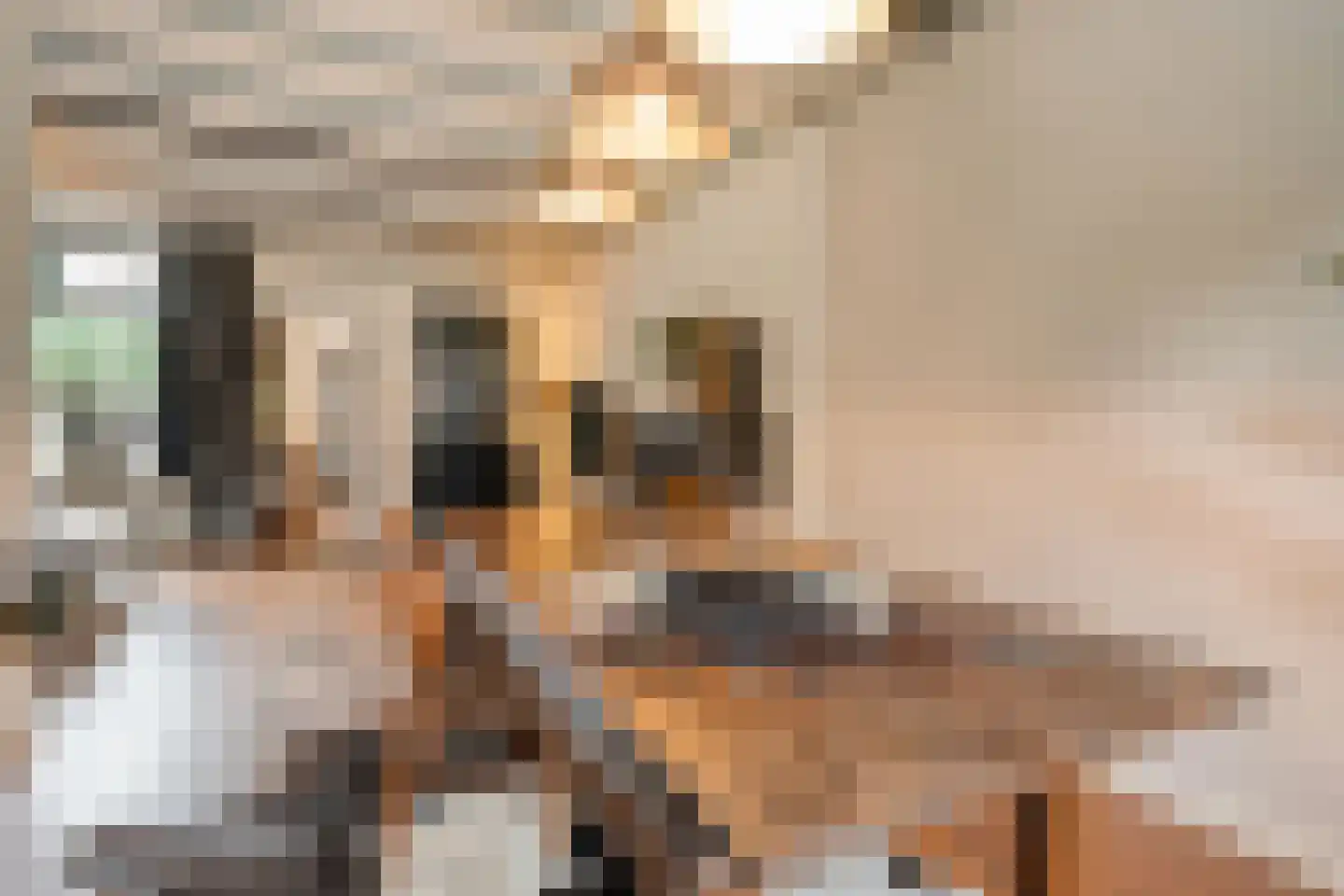 Thorbeckestraat 47 Oldenzaal thumbnail 8