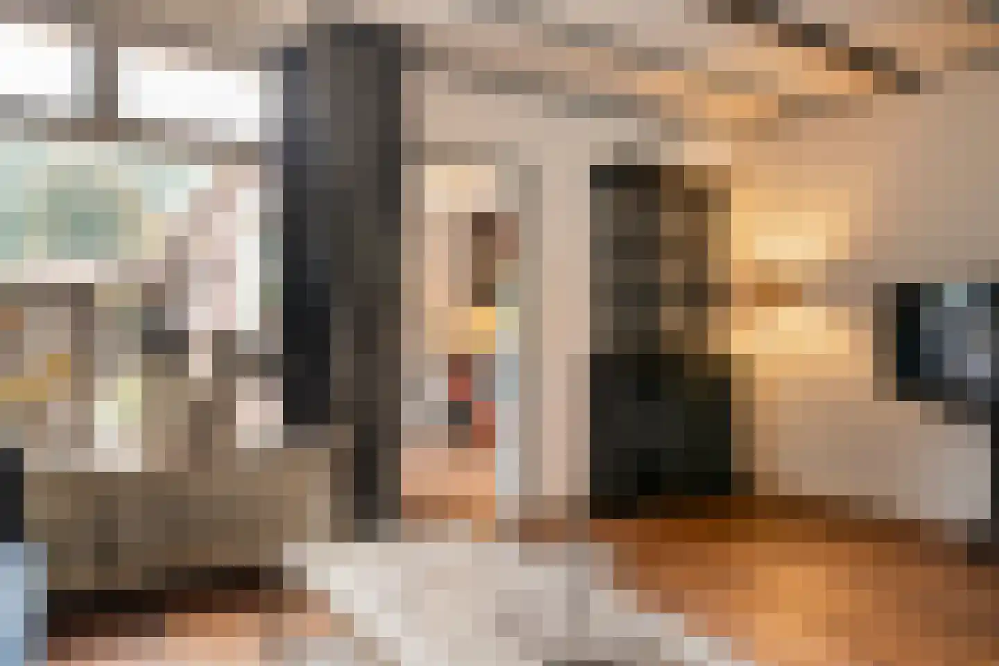 Thorbeckestraat 47 Oldenzaal thumbnail 9