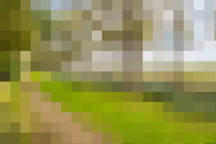 Thorbeckestraat 470 Wageningen thumbnail 28