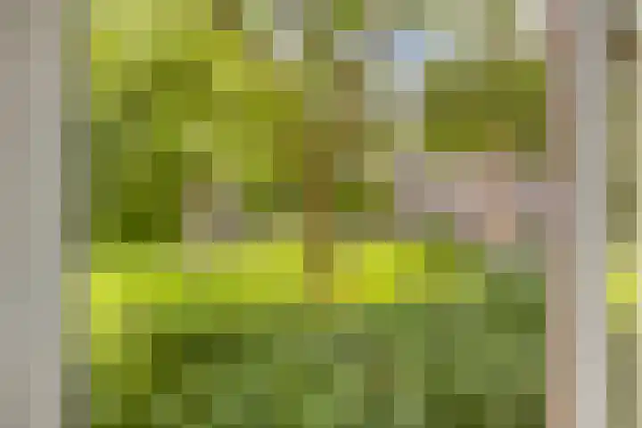 Thorbeckestraat 470 Wageningen thumbnail 7