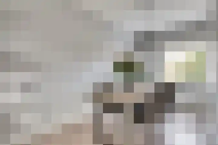 Thorbeckestraat 48 Hendrik-Ido-Ambacht thumbnail 13
