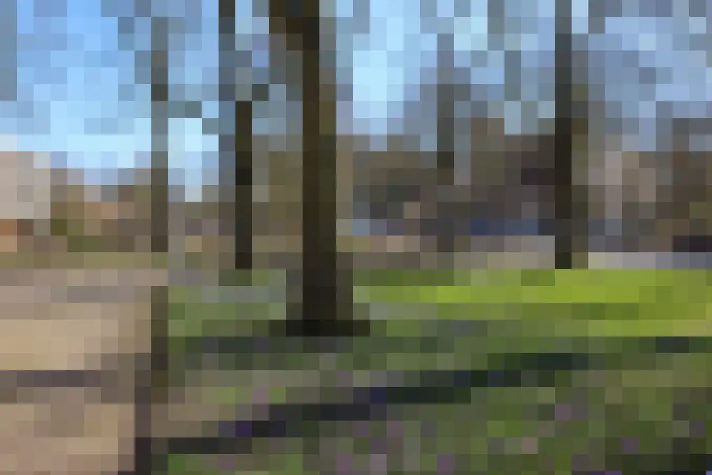 Thorbeckestraat 496 Wageningen thumbnail 31